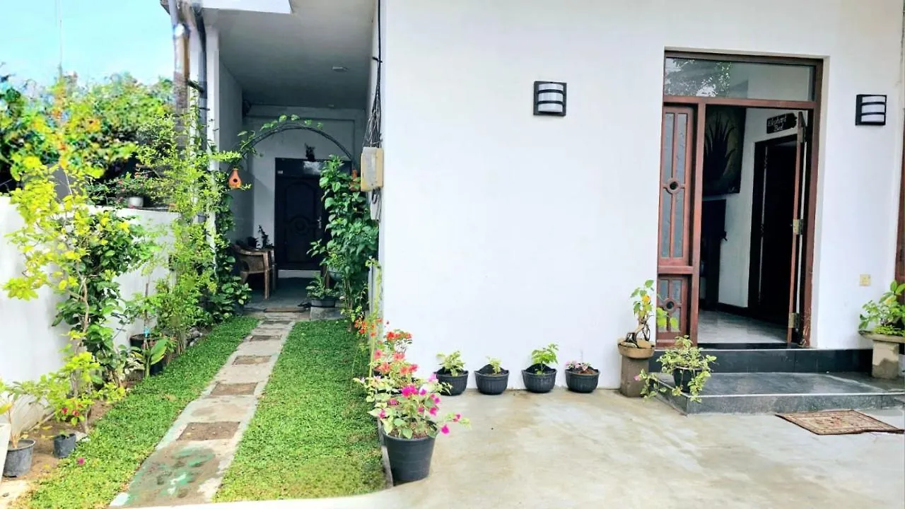 Aloevera Villa Negombo Sri Lanka