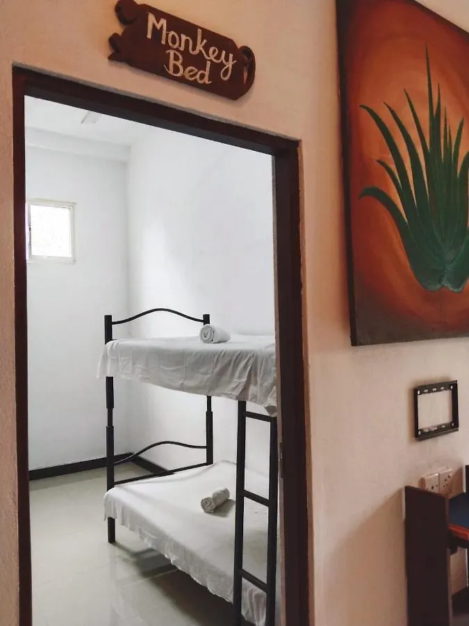 Aloevera Villa Negombo Guest house