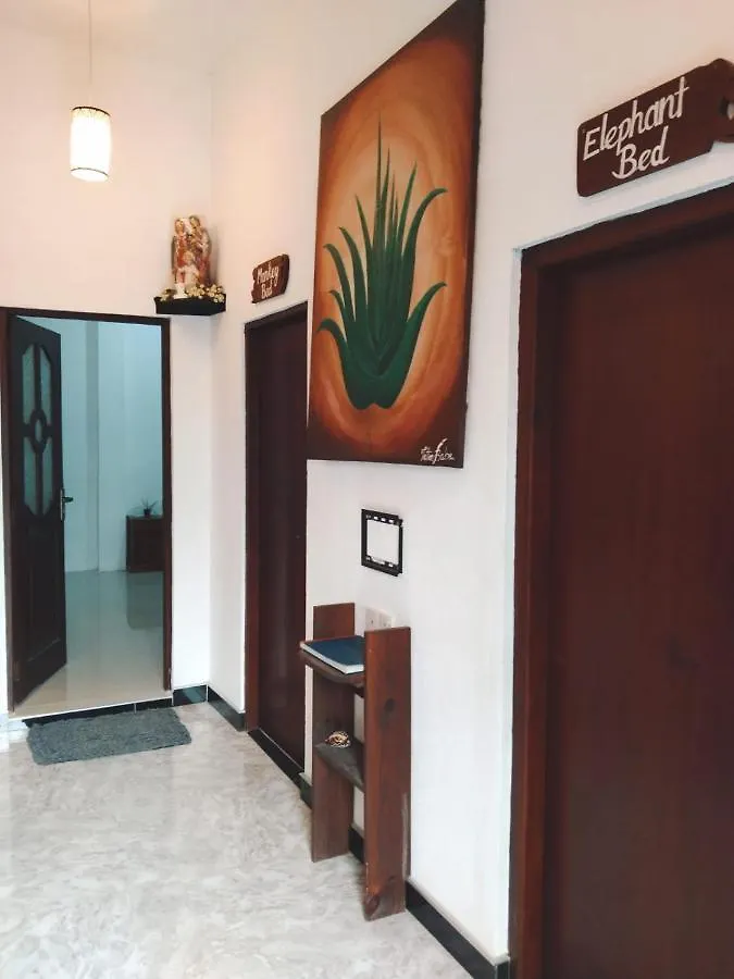 Guest house Aloevera Villa Negombo Sri Lanka
