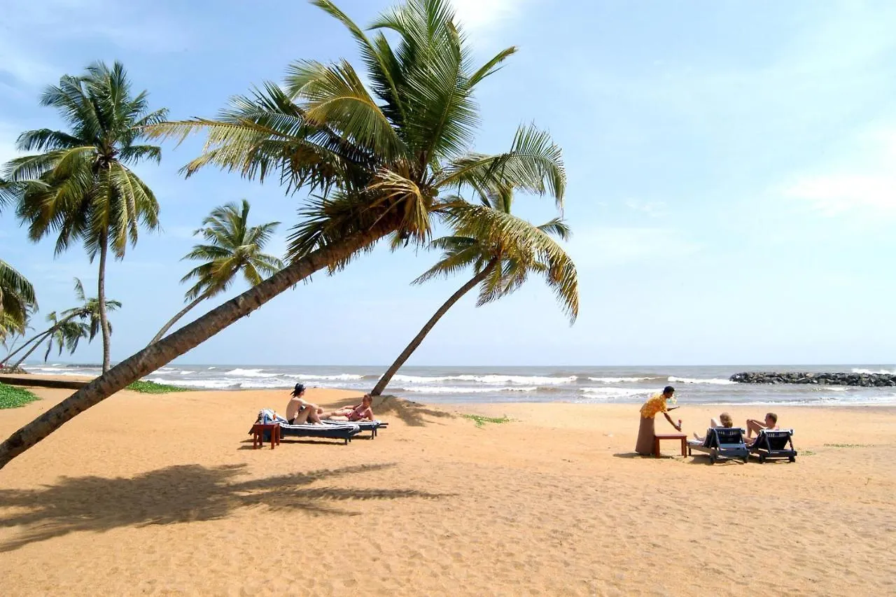 Guest house Aloevera Villa Negombo Sri Lanka