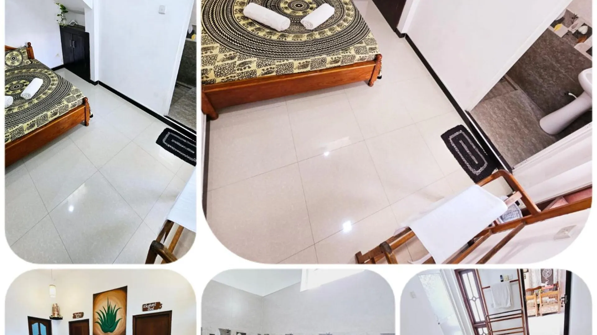 Aloevera Villa Negombo Guest house