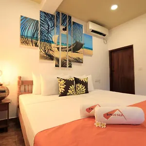 D Guest house